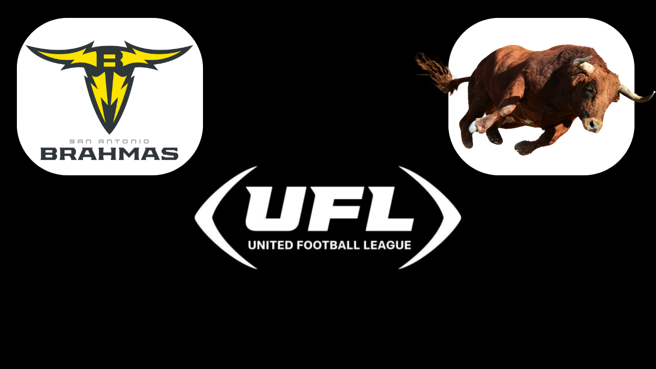 What Is A Brahma Bull: From Dwayne Johnson to San Antonio's UFL Team