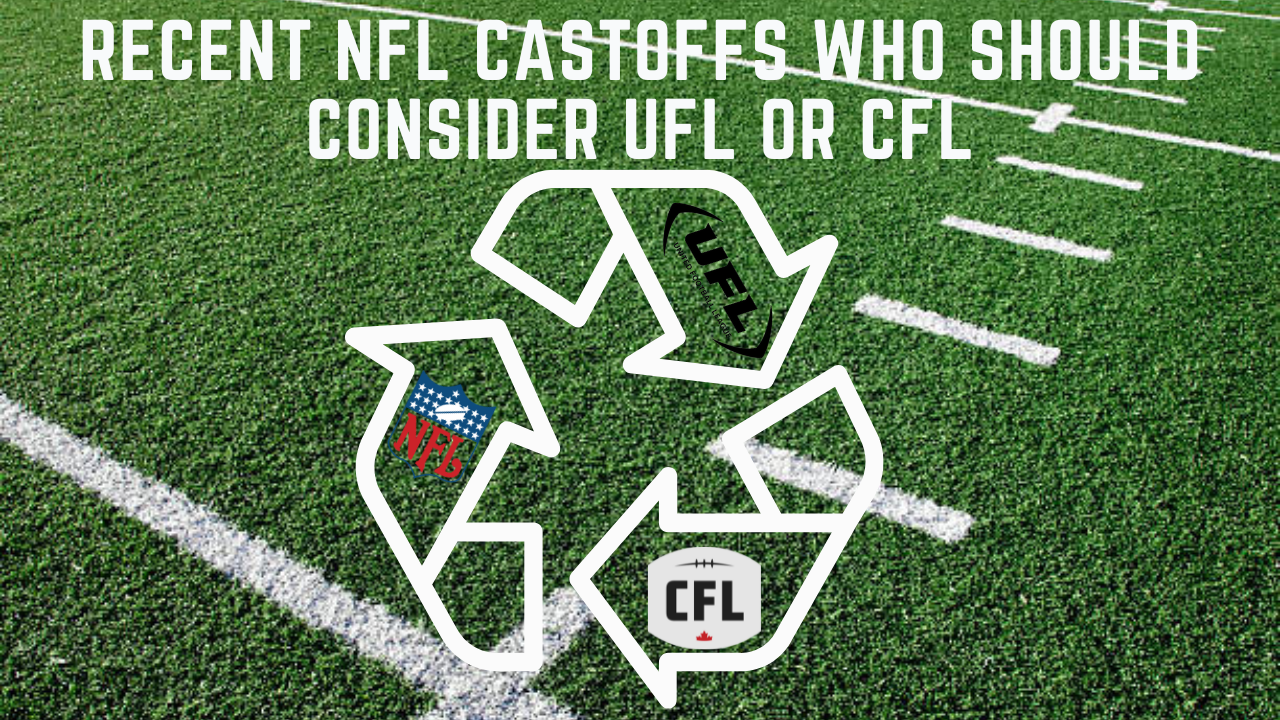 NFL Cast Offs Who Should Consider UFL and CFL, Offensive Skill Positions