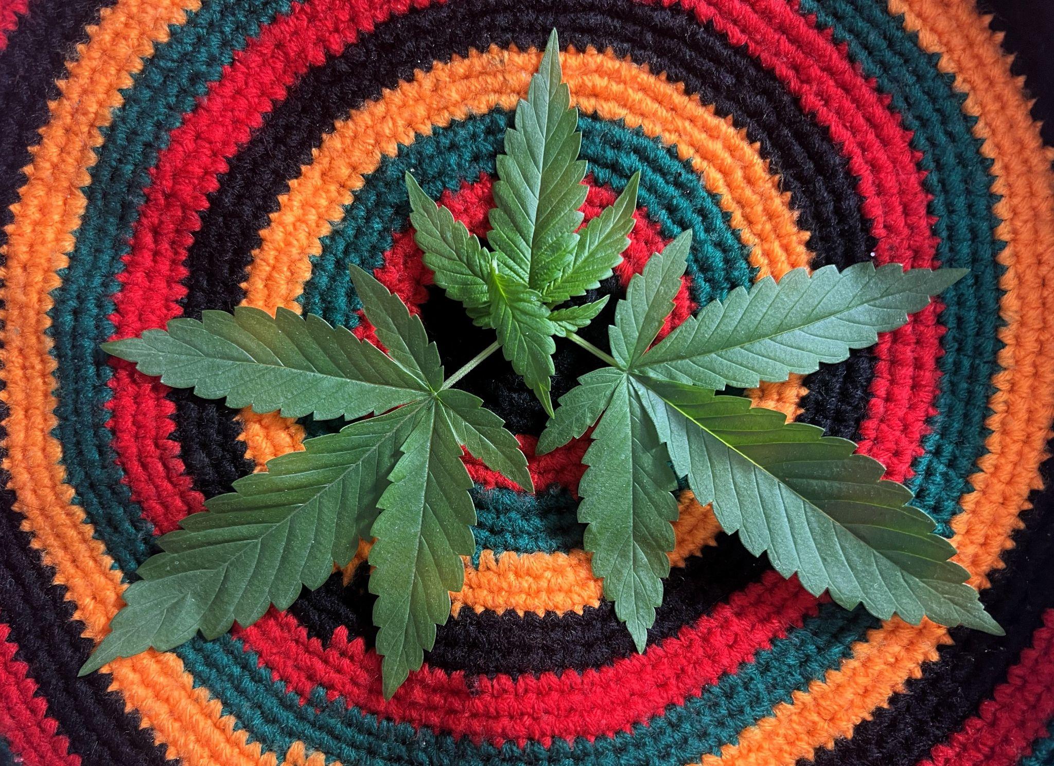The Art of Doing Nothing: A Cannabis Self-Care Guide